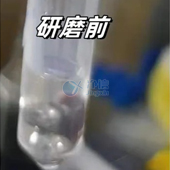 必看！全自動浸入式液氮冷凍研磨儀高效研磨小鼠肝臟提取DNA實操指南