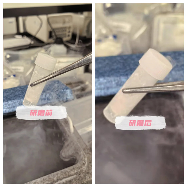 ??內(nèi)臟研磨實(shí)驗(yàn)記錄_2_科研小凈_來自小紅書網(wǎng)頁版.jpg