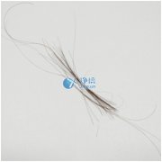 上海凈信研磨頭發(fā)樣品新突破！快速鑒定疑犯是否吸毒